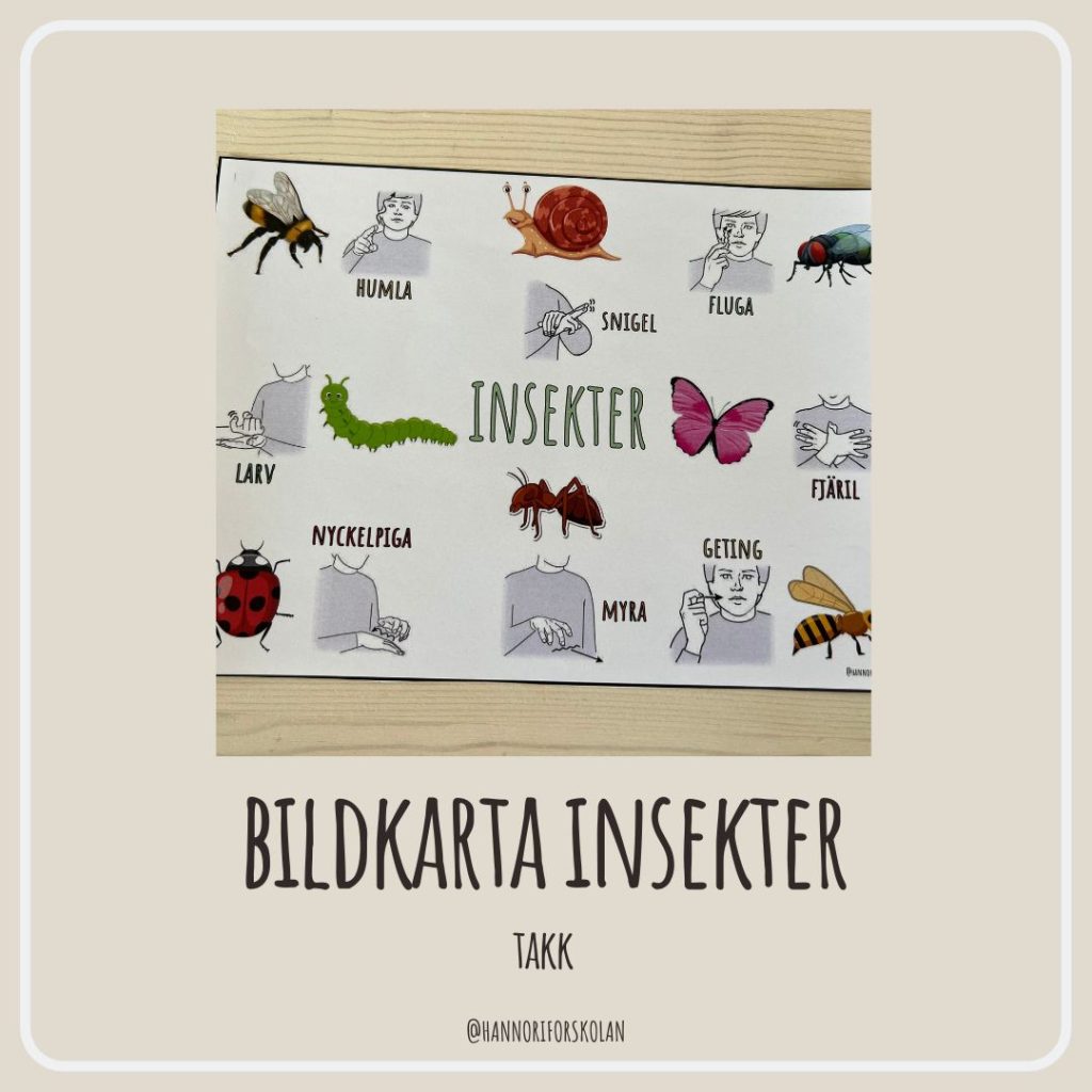 Bildkarta insekter