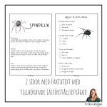 Faktatext om Spindeln - bild 2