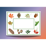 Trädmemory och mini-naturruta - bild 3