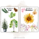 Framsidor NO - bild 3