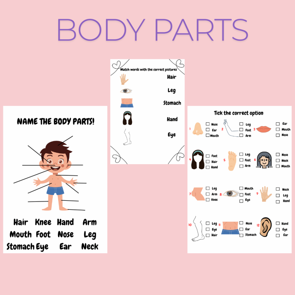 Engelska – Body parts