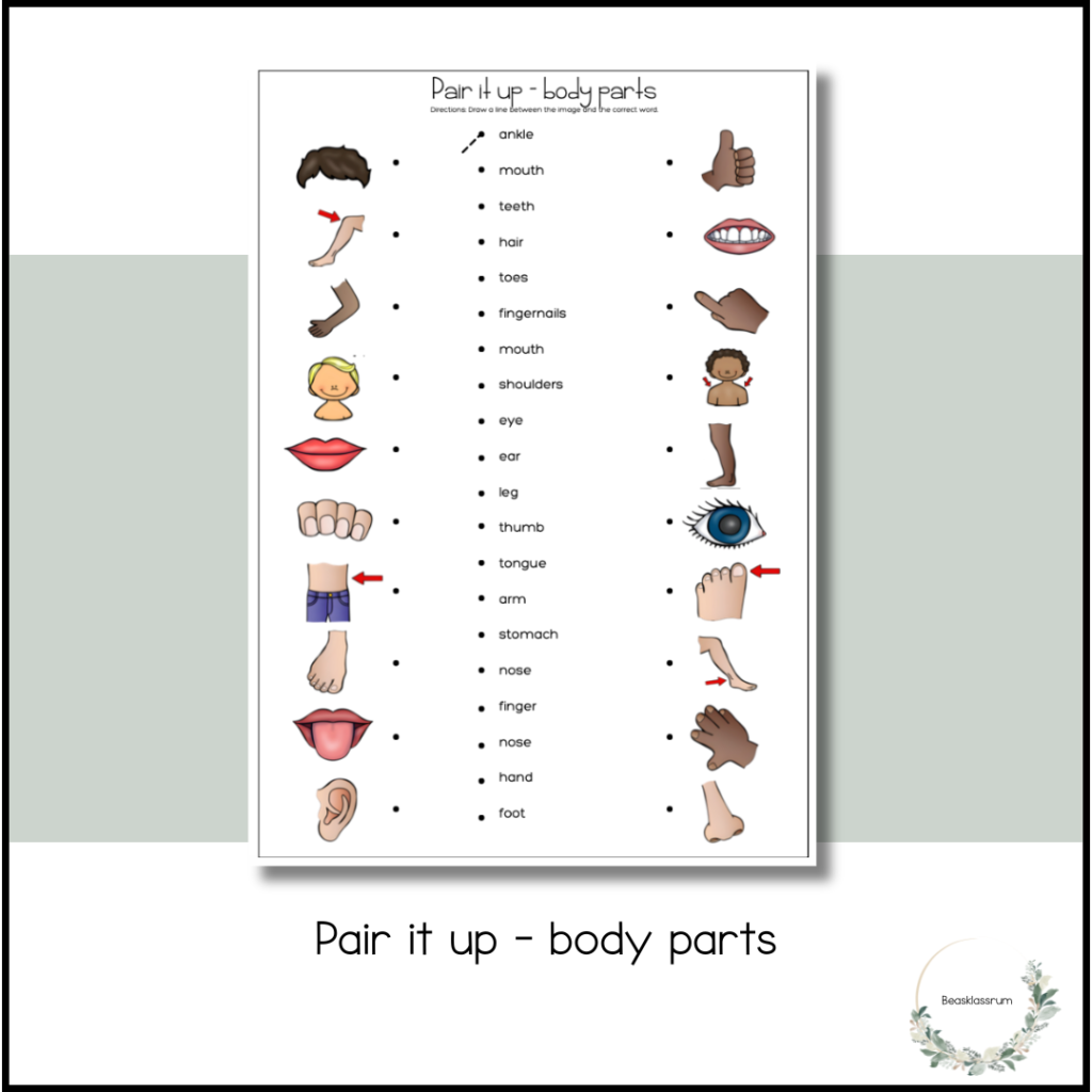 Pair it up – body parts