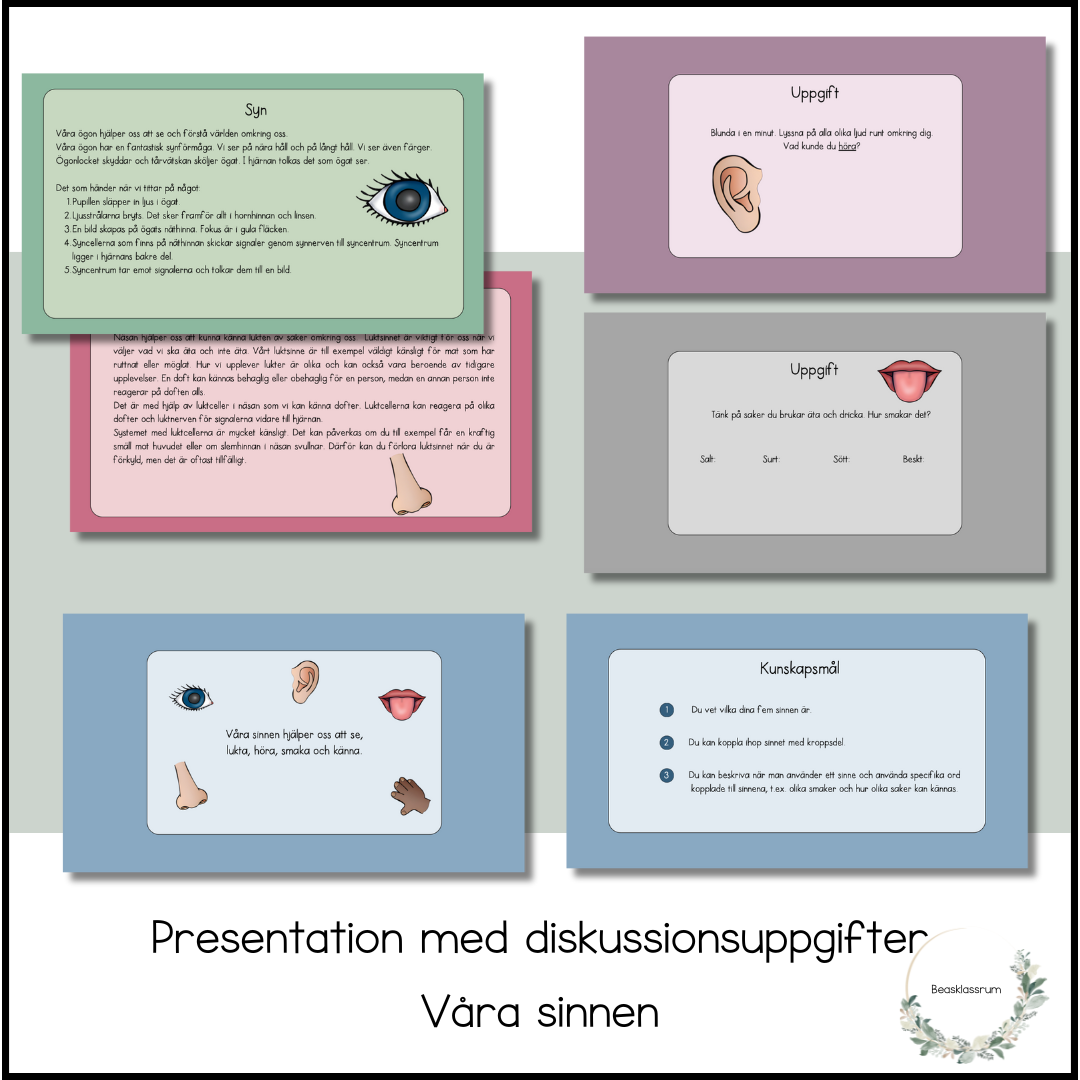 Våra sinnen - presentation + diskussionsfrågor