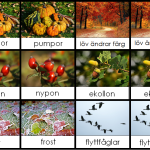 Höstmemory – memory om höstens kännetecken - bild 2