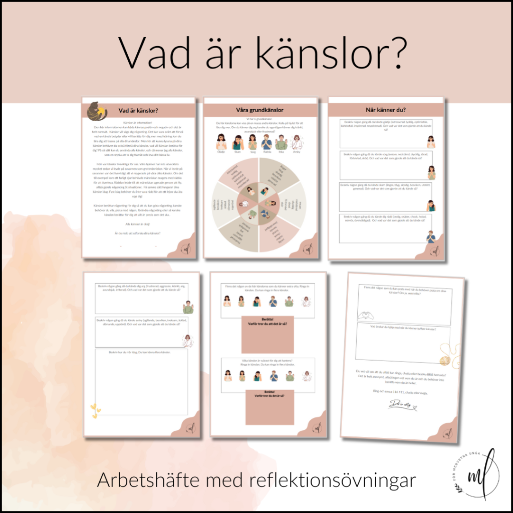 Vad är känslor?