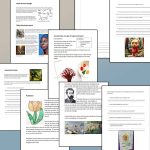 Bild – ett arbetshäfte - bild 2