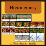 Höstmemory – memory om höstens kännetecken - bild 1