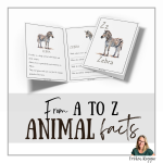 Z for Zebra - bild 2