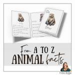 O for Otter - bild 2