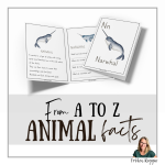 N for Narwhal - bild 2