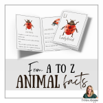 L for Ladybird - bild 2