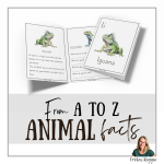 I for Iguana - bild 2