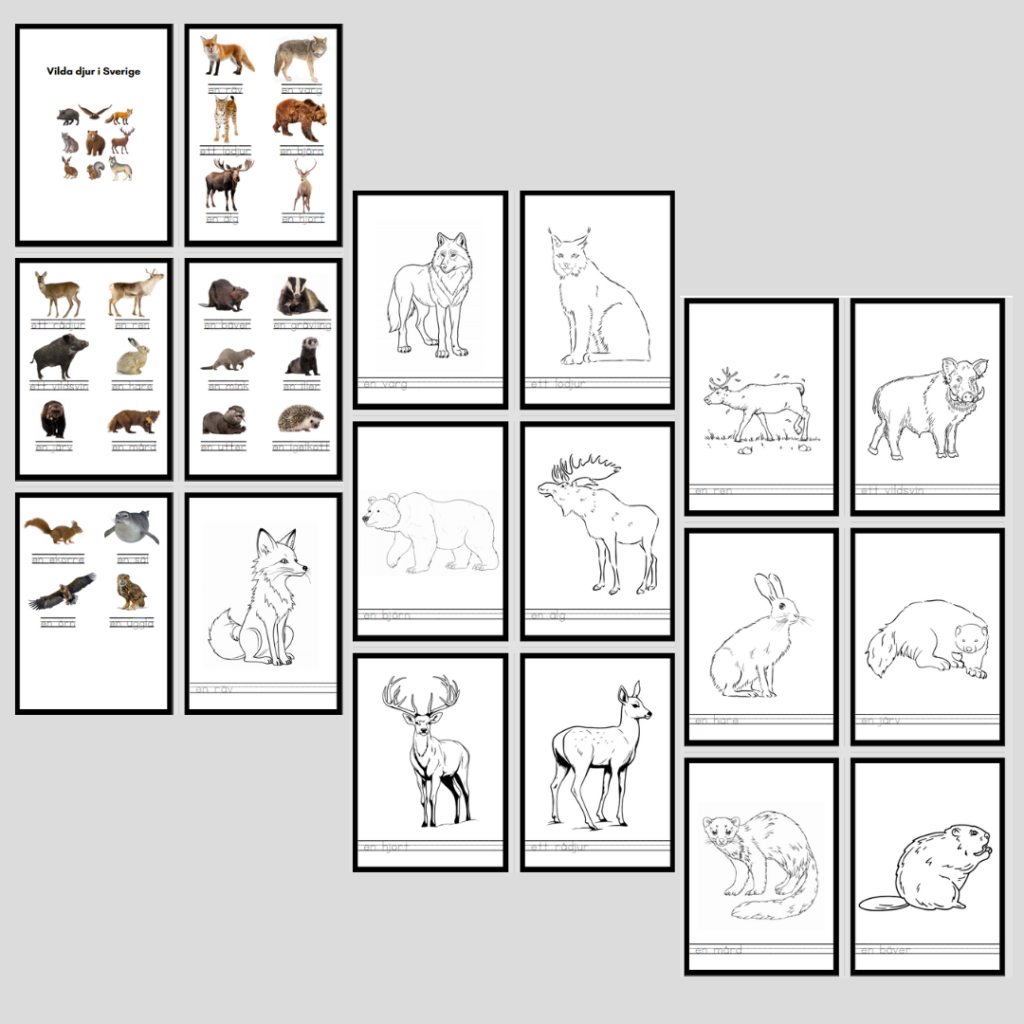 Vilda djur i Sverige. Målarbilder