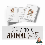 S for Squirrel - bild 2