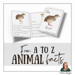 Q for Quail - bild 2