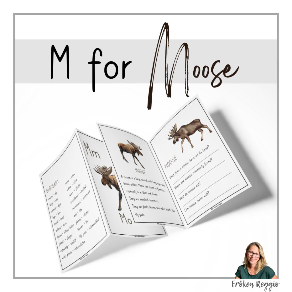 M for Moose