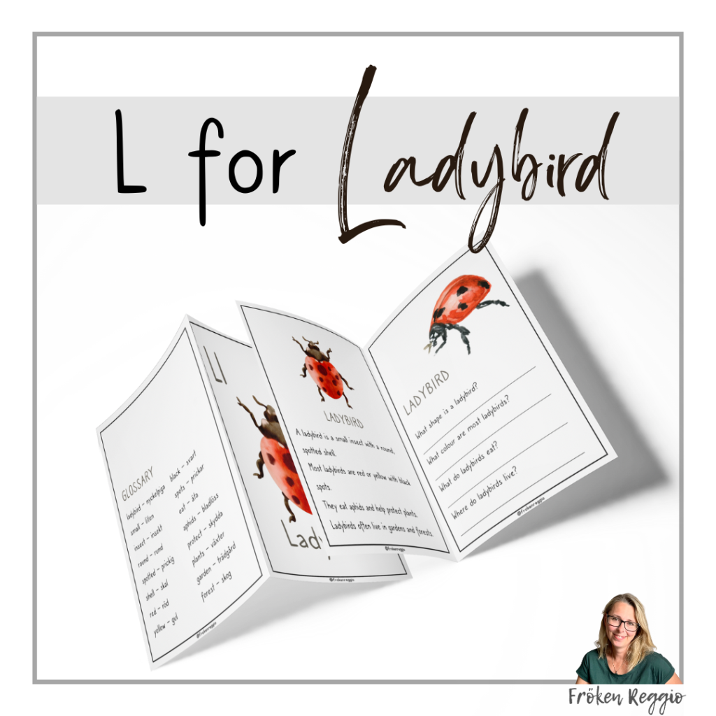 L for Ladybird