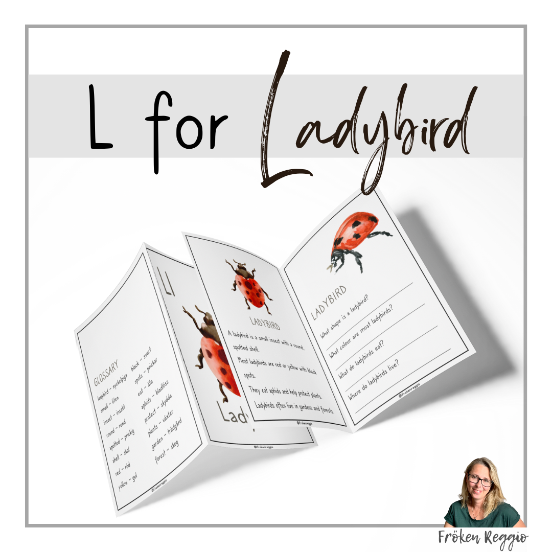 L for Ladybird