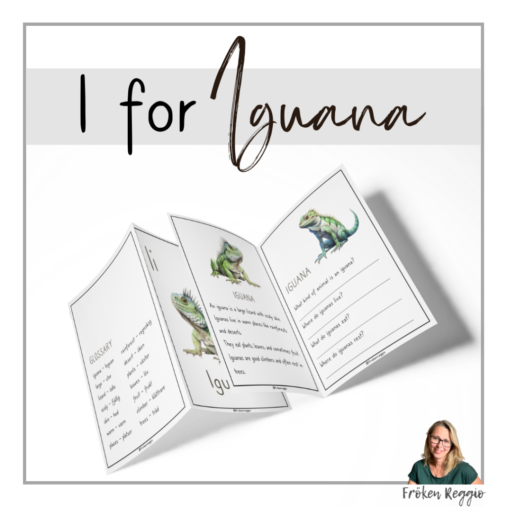 I for Iguana