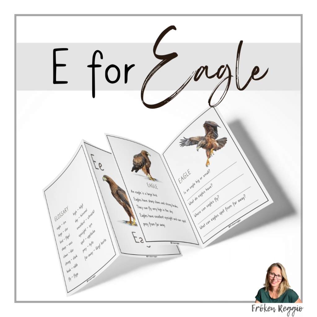 E for Eagle