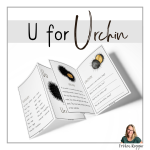 U for Urchin - bild 1