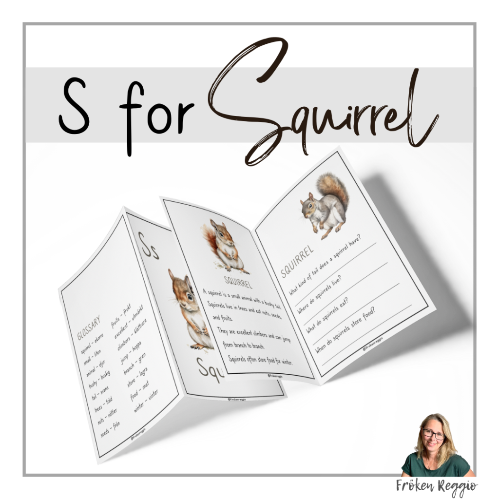 S for Squirrel