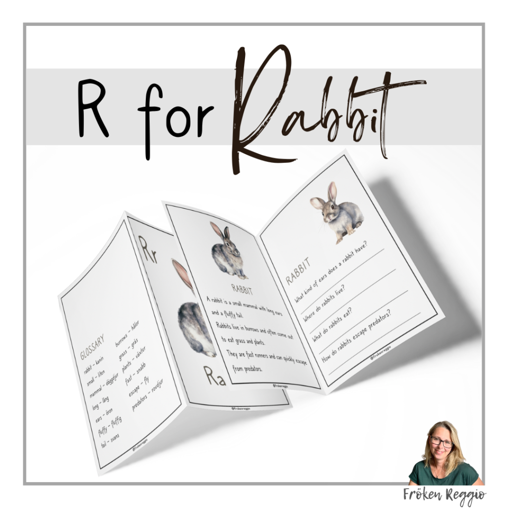 R for Rabbit