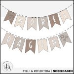 Vimpel Nobeldagen - bild 2