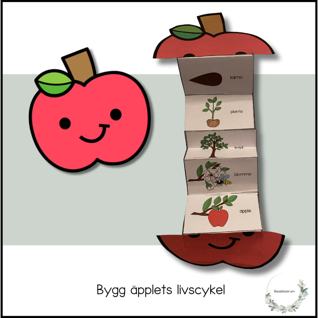 Bygg äpplets livscykel