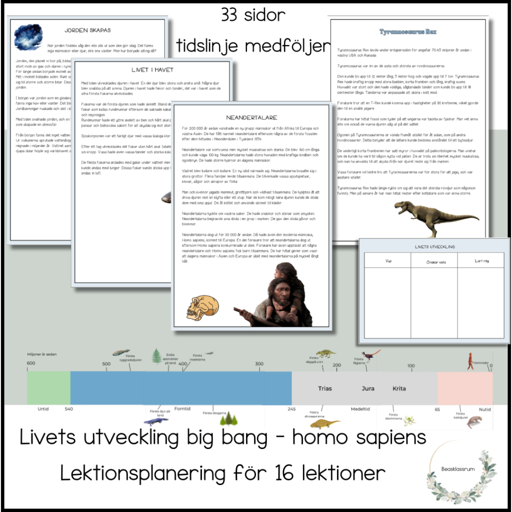 Livets utveckling – arbetshäfte