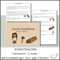 Bondestenåldern