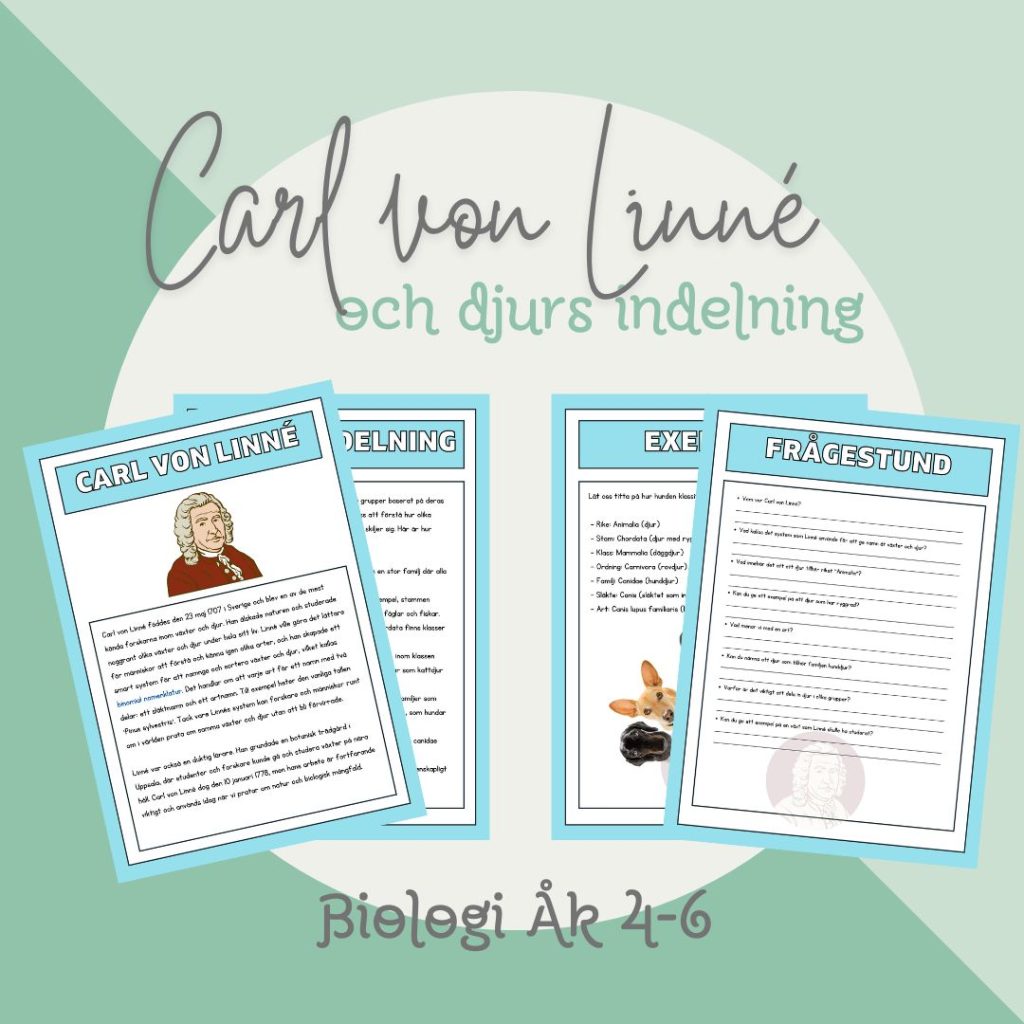 Carl von Linné och djurs indelning