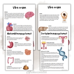 Mitt häfte om kroppen - bild 2