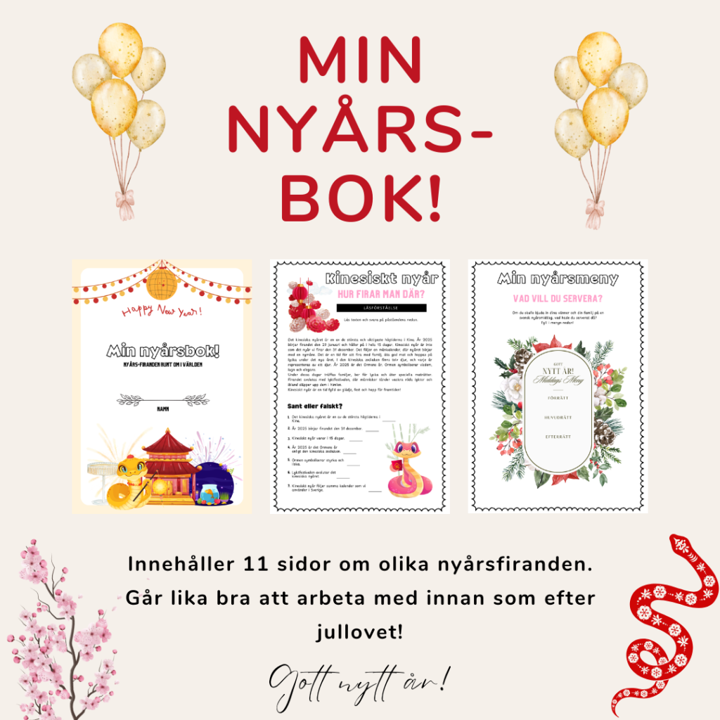 Min nyårs-bok!