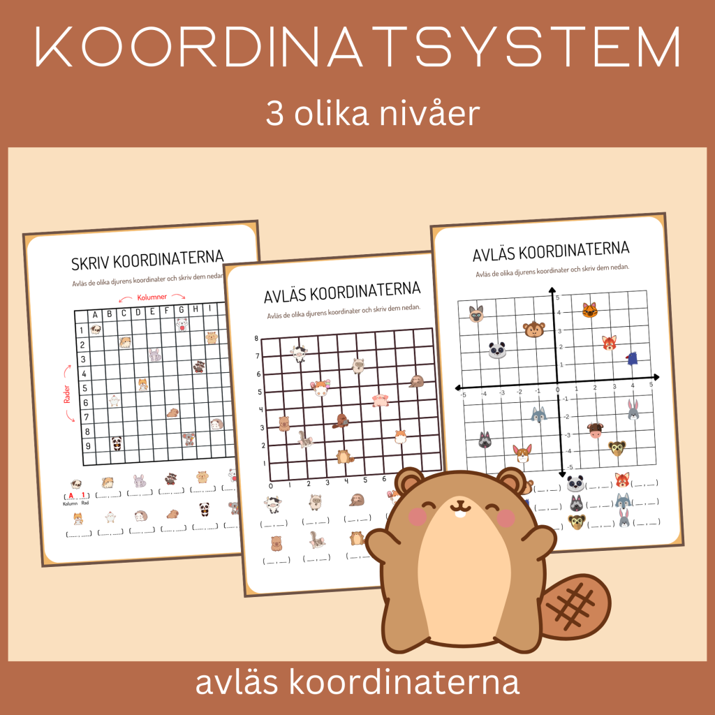 Avläs koordinater, 3 arbetsblad med 3 olika nivåer