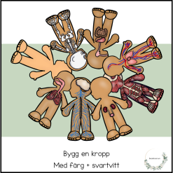 Bygg en kropp