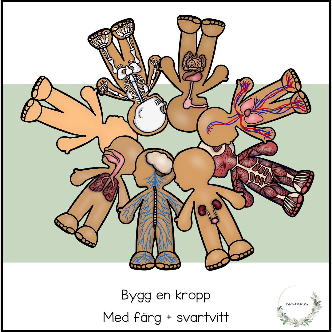 Bygg en kropp
