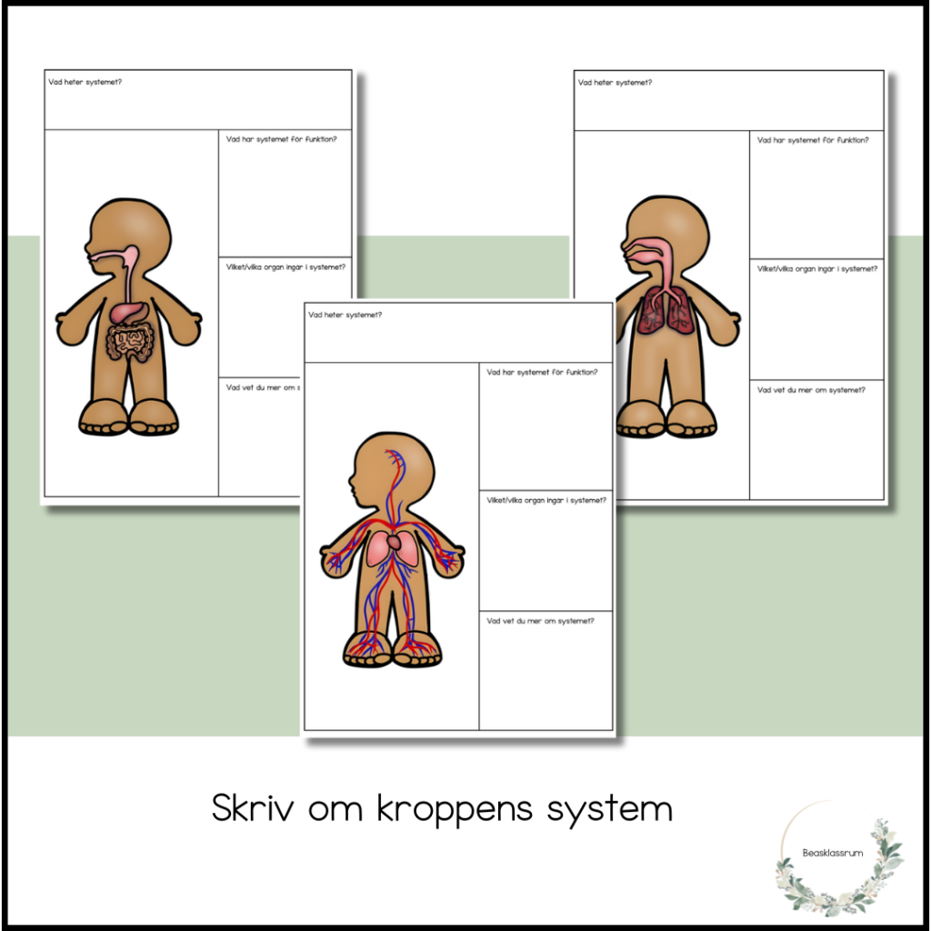 Skriv om kroppens system