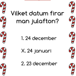 TIPSPROMENAD JUL - bild 2