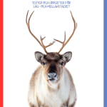 Samernas magiska kultur - bild 1