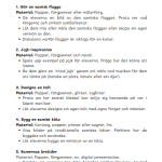 Samernas magiska kultur - bild 4