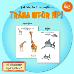 Träningshäften inför NP! - bild 4