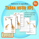 Träningshäften inför NP! - bild 2