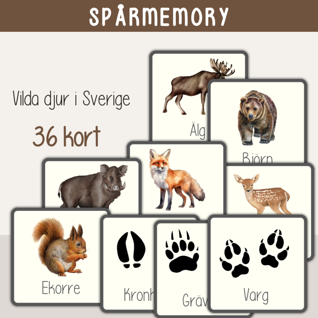 Vinter – Spårmemory – Vilda djur i Sverige