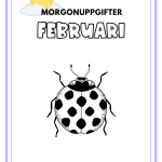 Morgonuppgifter februari - bild 2