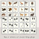 Vinter – Spårmemory – Vilda djur i Sverige - bild 2