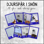 Djurspår i snön - bild 1