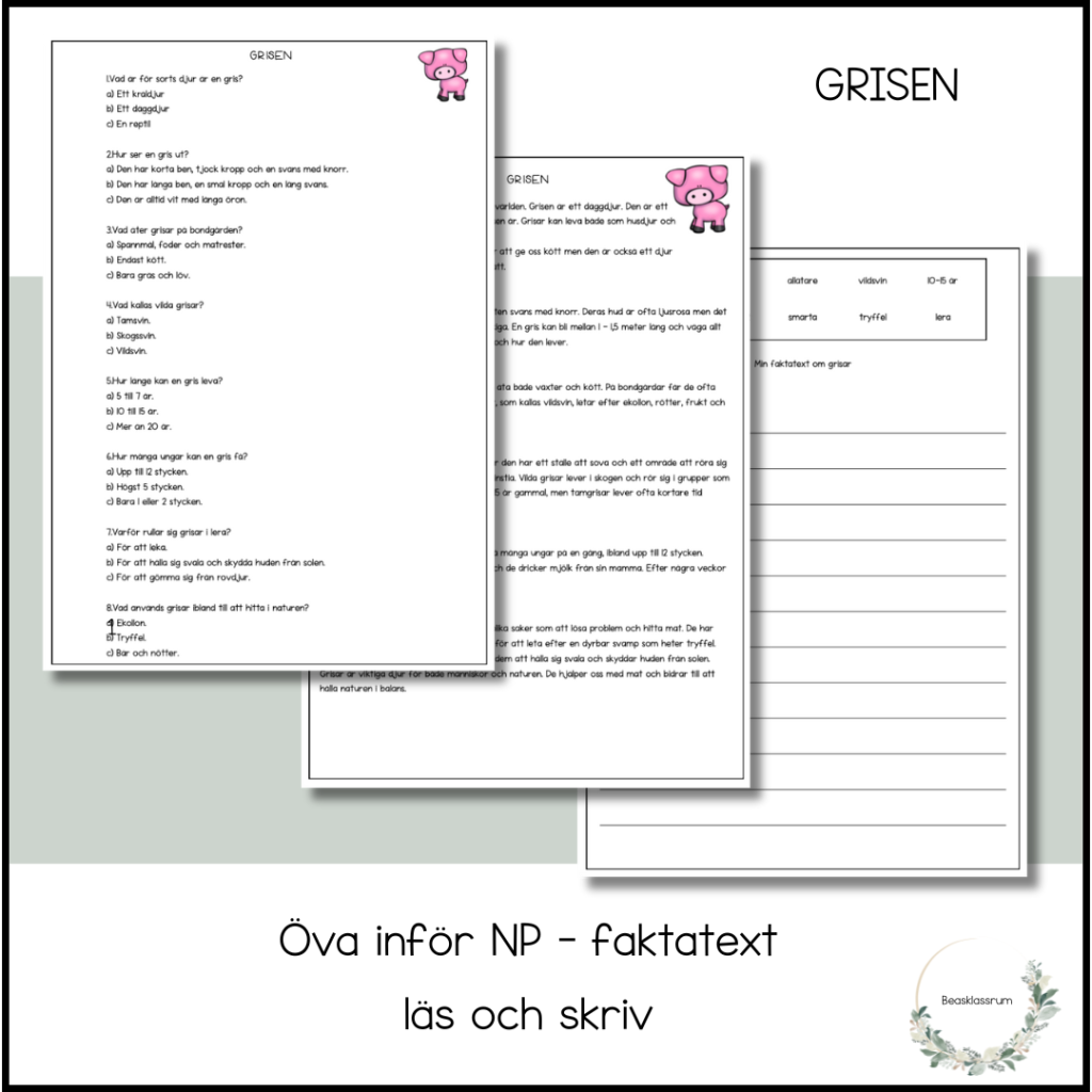Träna inför NP – faktatext grisen