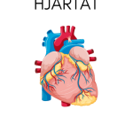 Forska om kroppen - bild 21