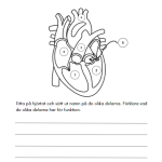 Forska om kroppen - bild 26